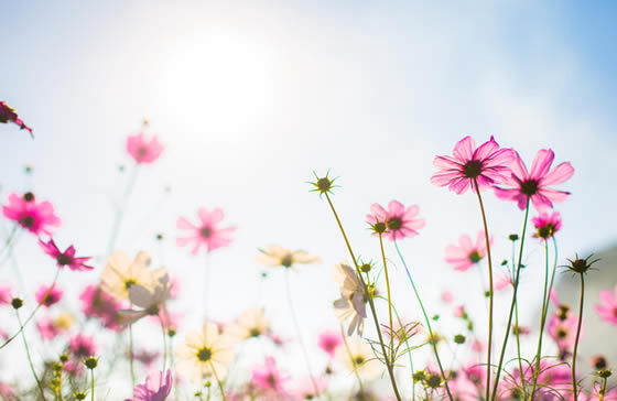 SEGUROS DE DECESOS EN HUELVA